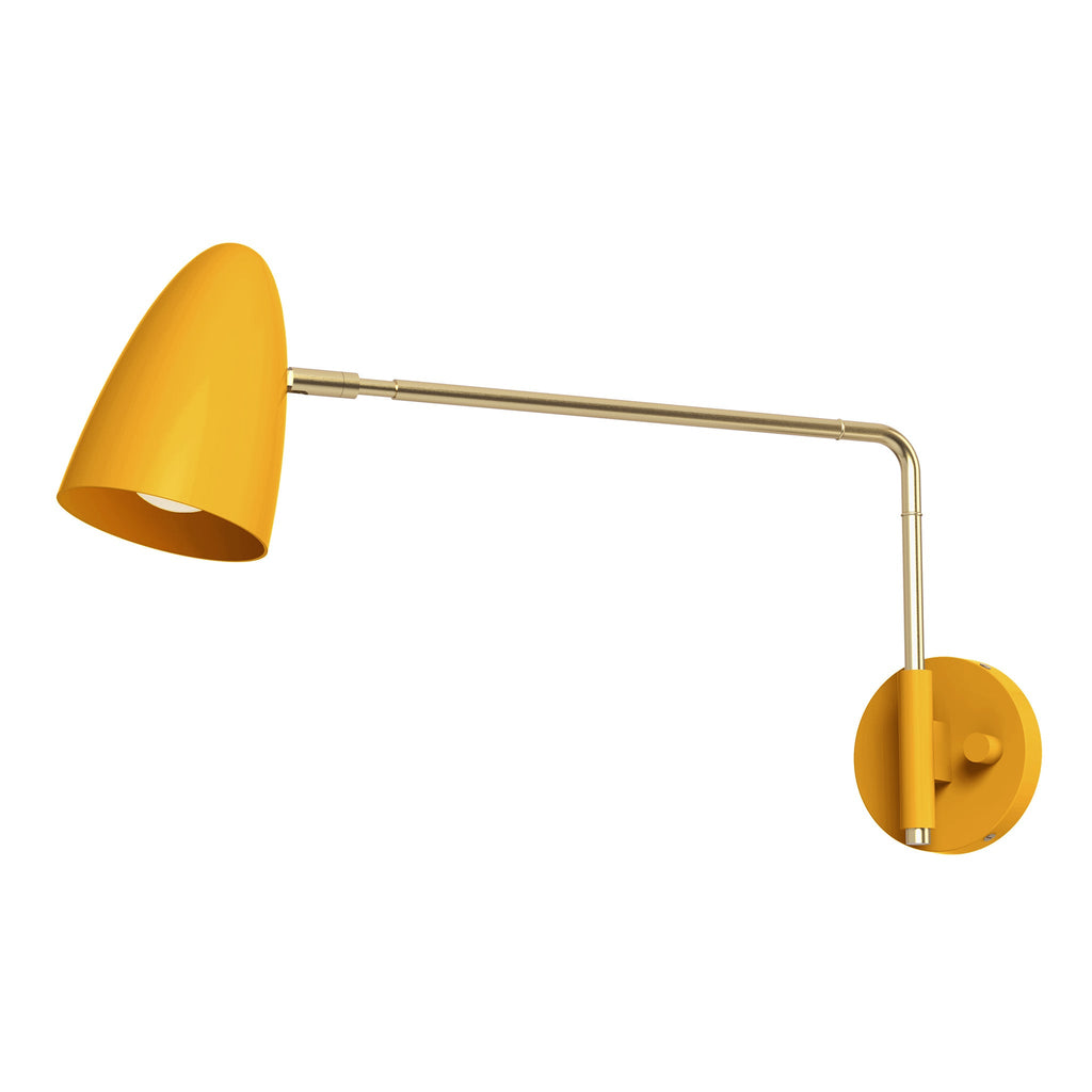 Color Boom Swing Arm Sconce - 17" Arm